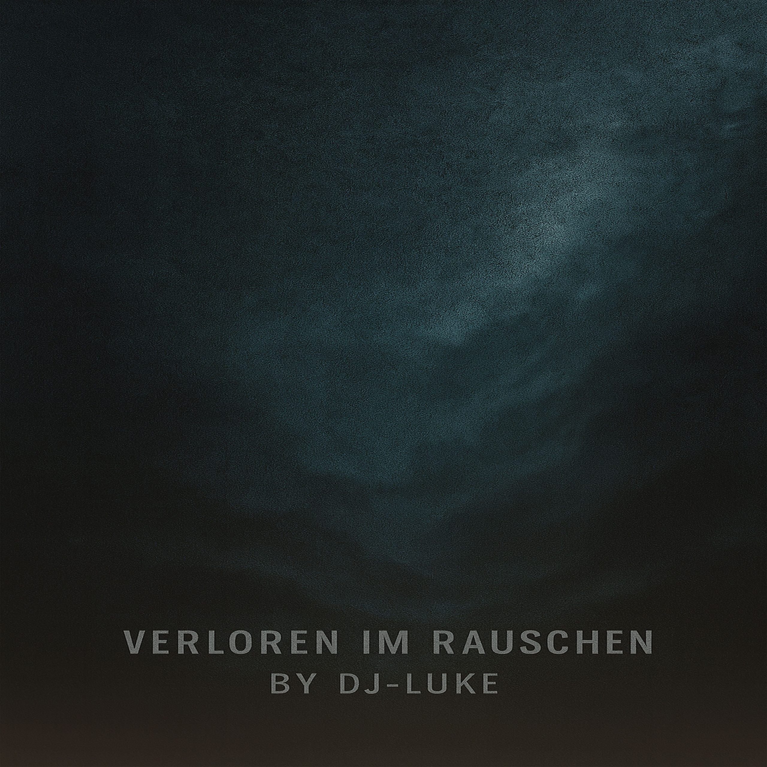 Verloren im Rauschen Cover